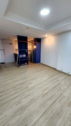 The Plaza (D7), Apartment #524048911